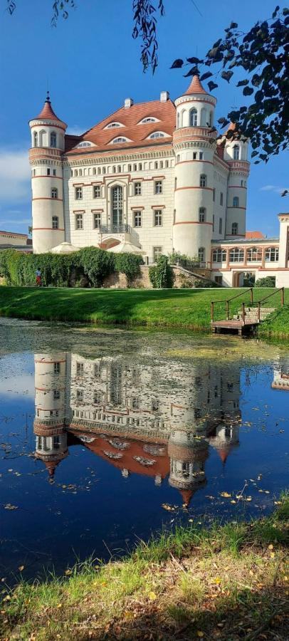 Apartament Nina Jelenia Gora Dış mekan fotoğraf