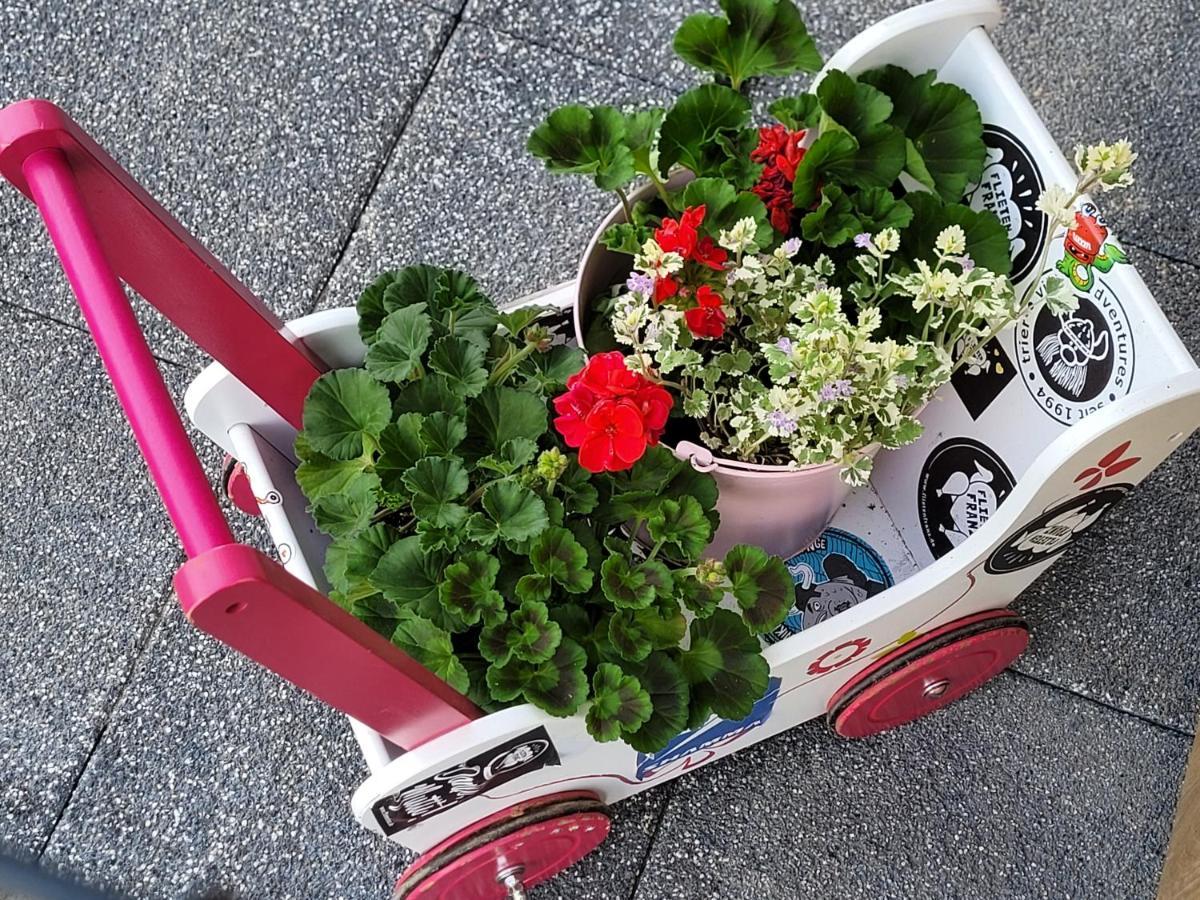 Apartament Nina Jelenia Gora Dış mekan fotoğraf